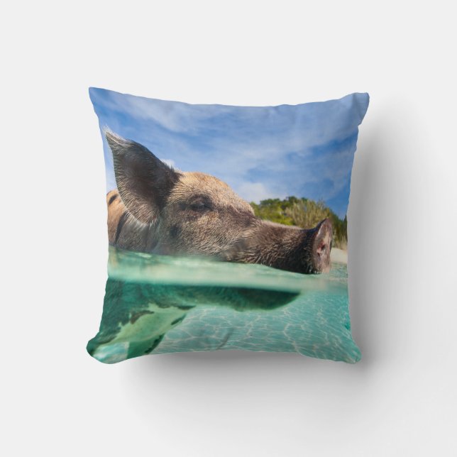 Coussin Cochon de natation d'Exuma (Recto)