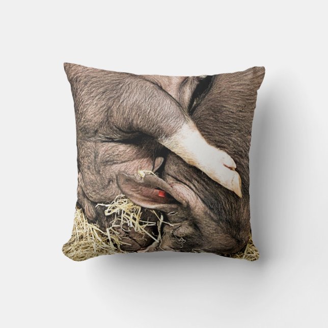 COUSSIN COCHONS DE SOMMEIL (Recto)