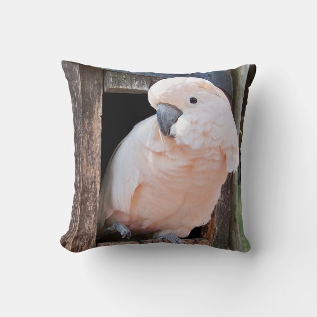 Coussin Cockatoo Moluccan (Recto)