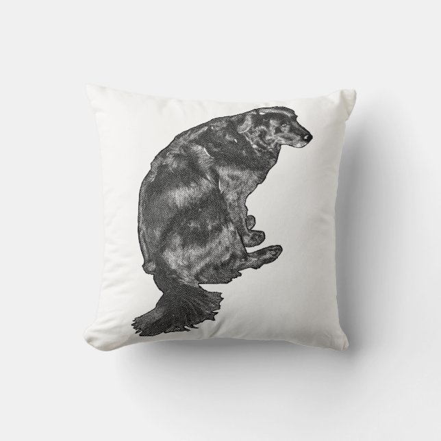 Coussin Coin citrouille-Quiet — Retriever (Recto)