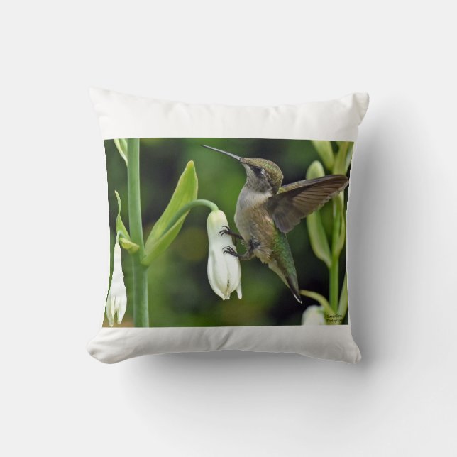 Coussin Colibri (Recto)