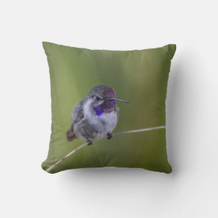 Coussin Colibri de Costa en août léger