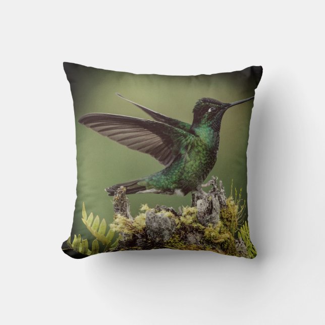 Coussin Colibri De Printemps Pour Les Amateurs De Nature (Recto)