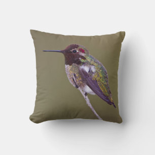 Coussin Colibri reposant