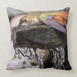 Coussin Colibri s'étendant dans l'eau 2
