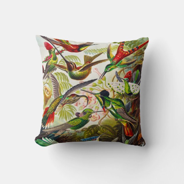 Coussin Colibri Vintage par Ernst Haeckel (Recto)