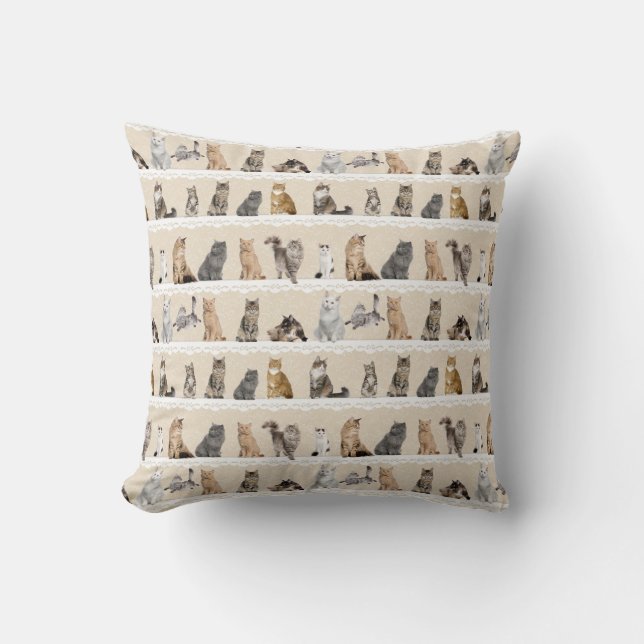 Coussin collectable de chats (Recto)