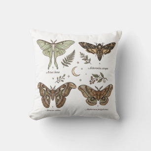 Coussin Collection de papillons de nuit vintage Entomologi