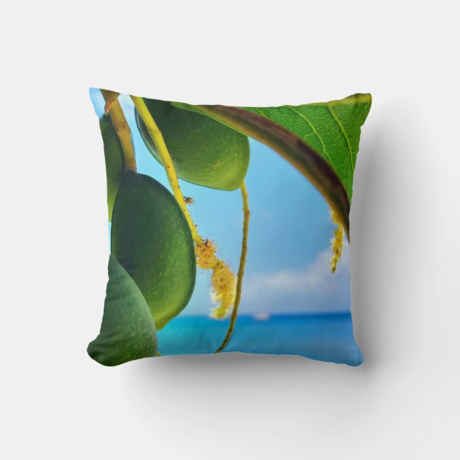 Coussin Collection Essence Tropicale - Fruits Tropicaux &  (Recto)