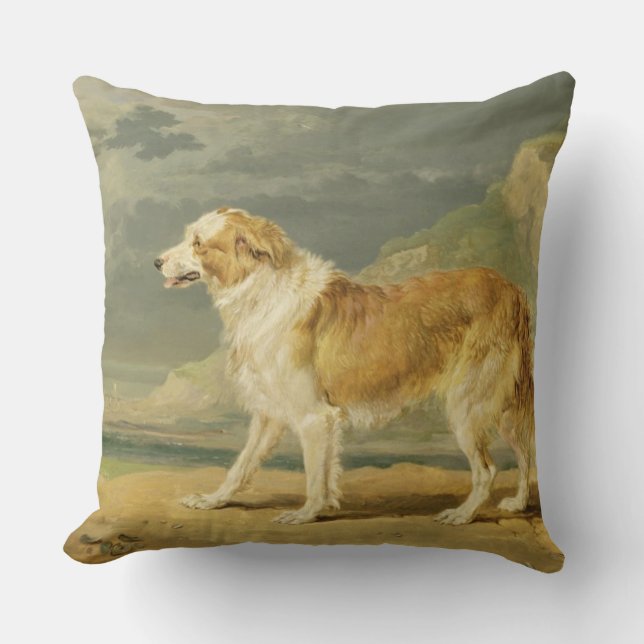 Coussin colley Rugueux-enduit, 1809 (huile à bord) (Recto)