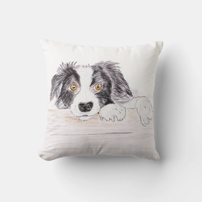 Coussin Collier frontalier (Recto)