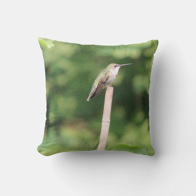 Coussin Conception inspirée des colibris (Recto)