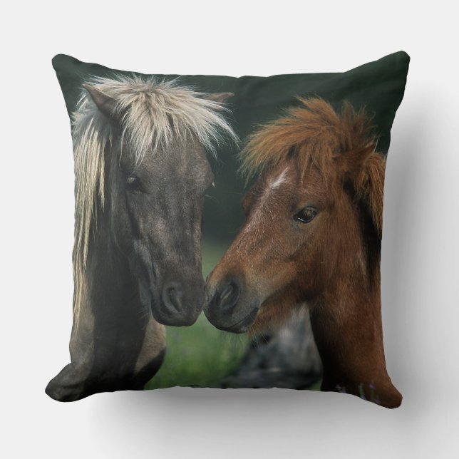 Coussin Contact miniature de chevaux (Recto)