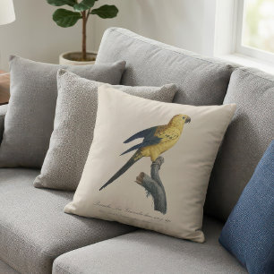 Coussin Conure soleil ou Aratinga solstitialis