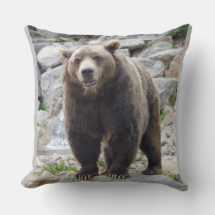 Coussin Cook bear