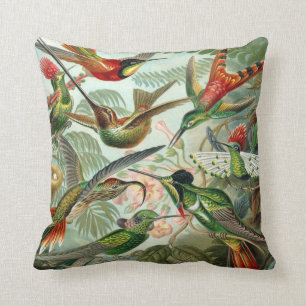 Coussin Copie d'art d'Ernst Haeckel : Trochilidae
