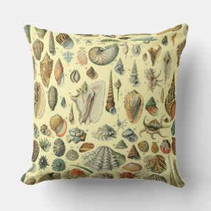 Coussin Coquillages de coquillages Mollusk Clam Élégant Ar