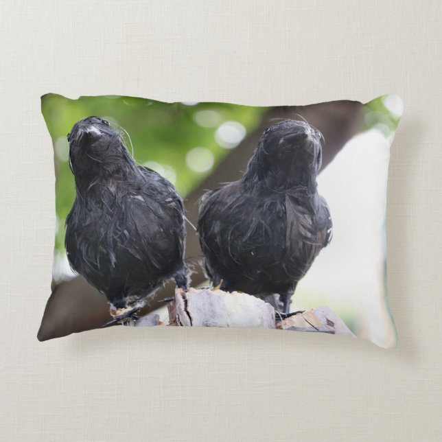 Coussin corbeau (Dos)