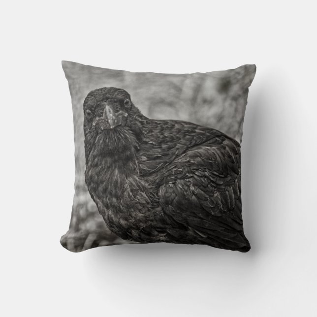 Coussin Corbeau P9239 (Recto)