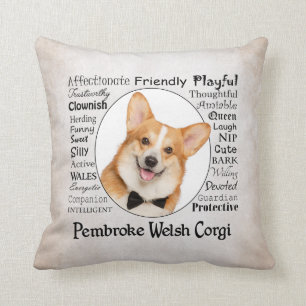 Coussin Corgi Traits