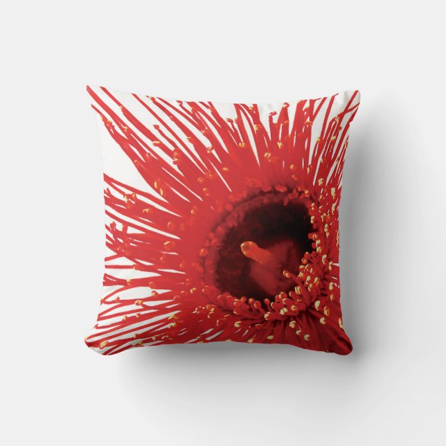 Coussin Corymbia ficifolia "Feu sauvage" carré photo couss (Recto)