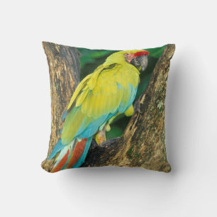 Coussin Costa Rica, Ara Ambigua, Grand Ara Vert.