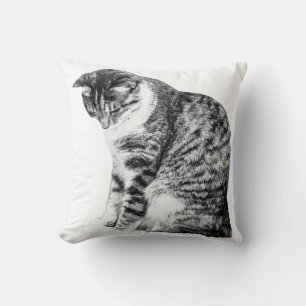 Coussin Cosy Corners avec Grace Chat Ombragée