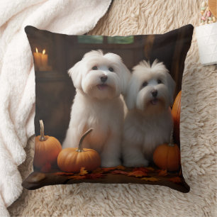 Coussin Coton De Tulear Chiot Automne Citrouille délice