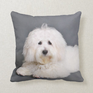 Coussin Coton de Tulear - Joci