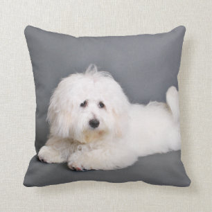 Coussin Coton de Tulear - Joci