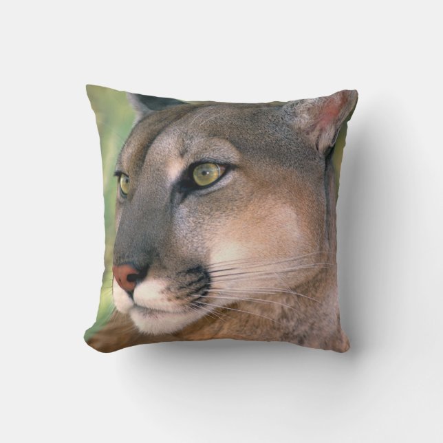Coussin Cougar, Californie (Recto)