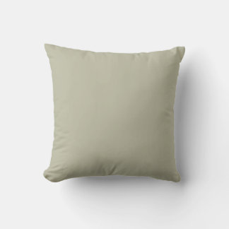 Coussin Couleur solide verte Sage