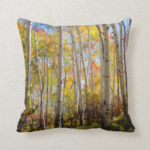Coussin Couleurs automnales d'Aspen 5