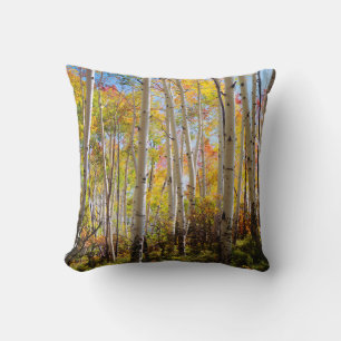 Coussin Couleurs d'automne des arbres d'Aspen 5