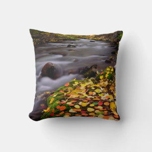 Coussin Couleurs d'automne le long du ruisseau McGee