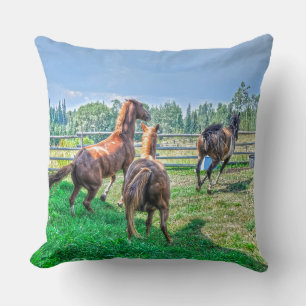 Coussin Courir Pinto Peinture Gelding & Stallions châtaign