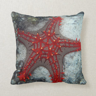 Coussin Couronne des étoiles de mer d'épines sur le réc