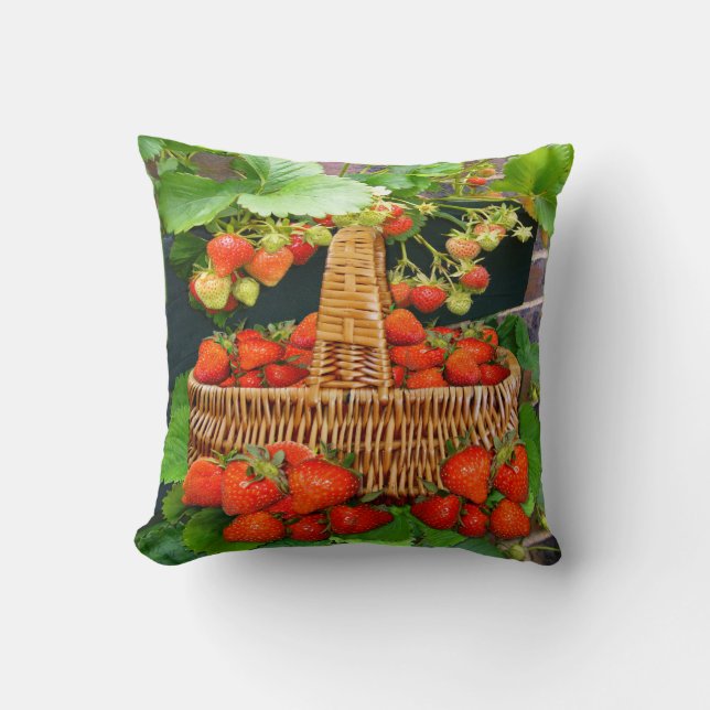 Coussin Coussin/coussin de ~ de panier de fraise (Recto)