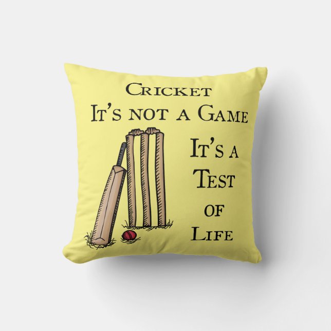 Coussin Cricket (Recto)