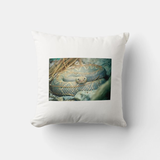 Coussin Crotte (Recto)