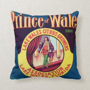 Coussin Cru d'agrume du Pays de Galles la Floride de lac