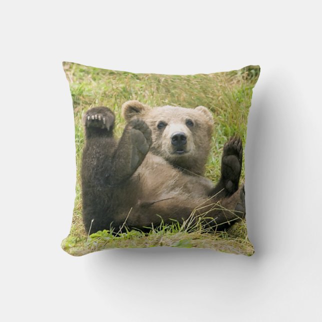Coussin Cube d'ours Kodiak (Recto)