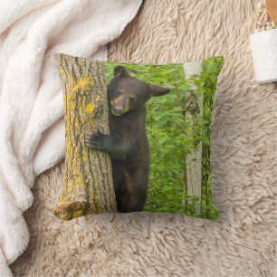 Coussin Cube d'ours noir   Minnesota