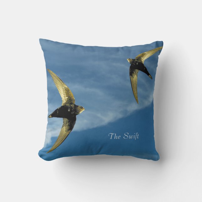 Coussin Cushion (Recto)