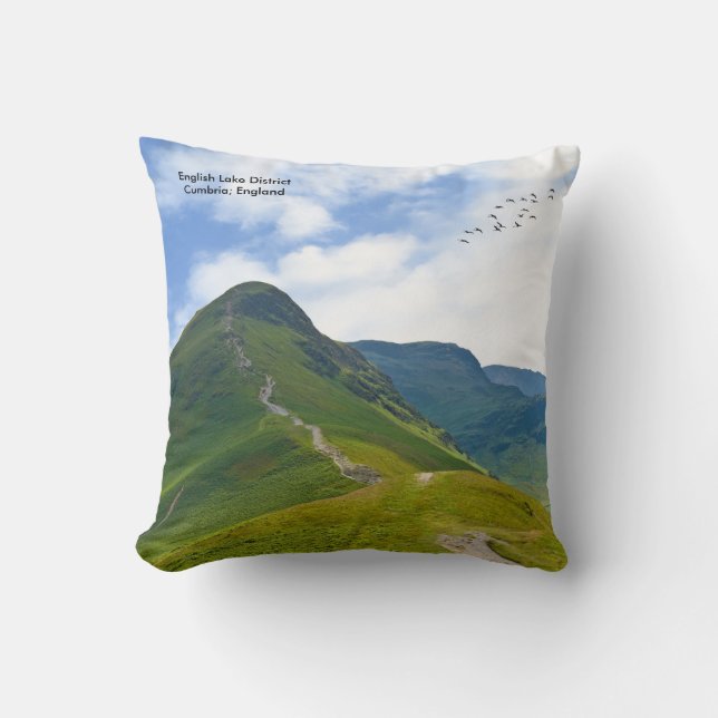 Coussin Cushion (Recto)