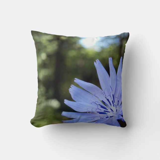 Coussin Cushion de Chicory (Recto)
