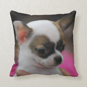 coussin - customisé