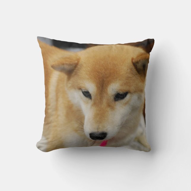 coussin - customisé (Recto)