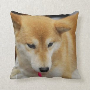 coussin - customisé