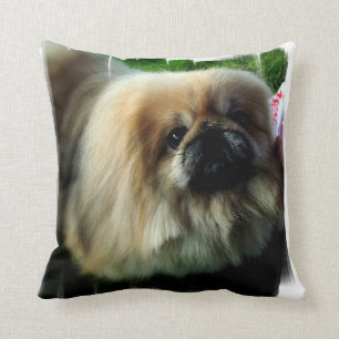 coussin - customisé